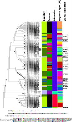 Genomic Characterization of Campylobacter jejuni Adapted to the Guinea Pig (Cavia porcellus) Host